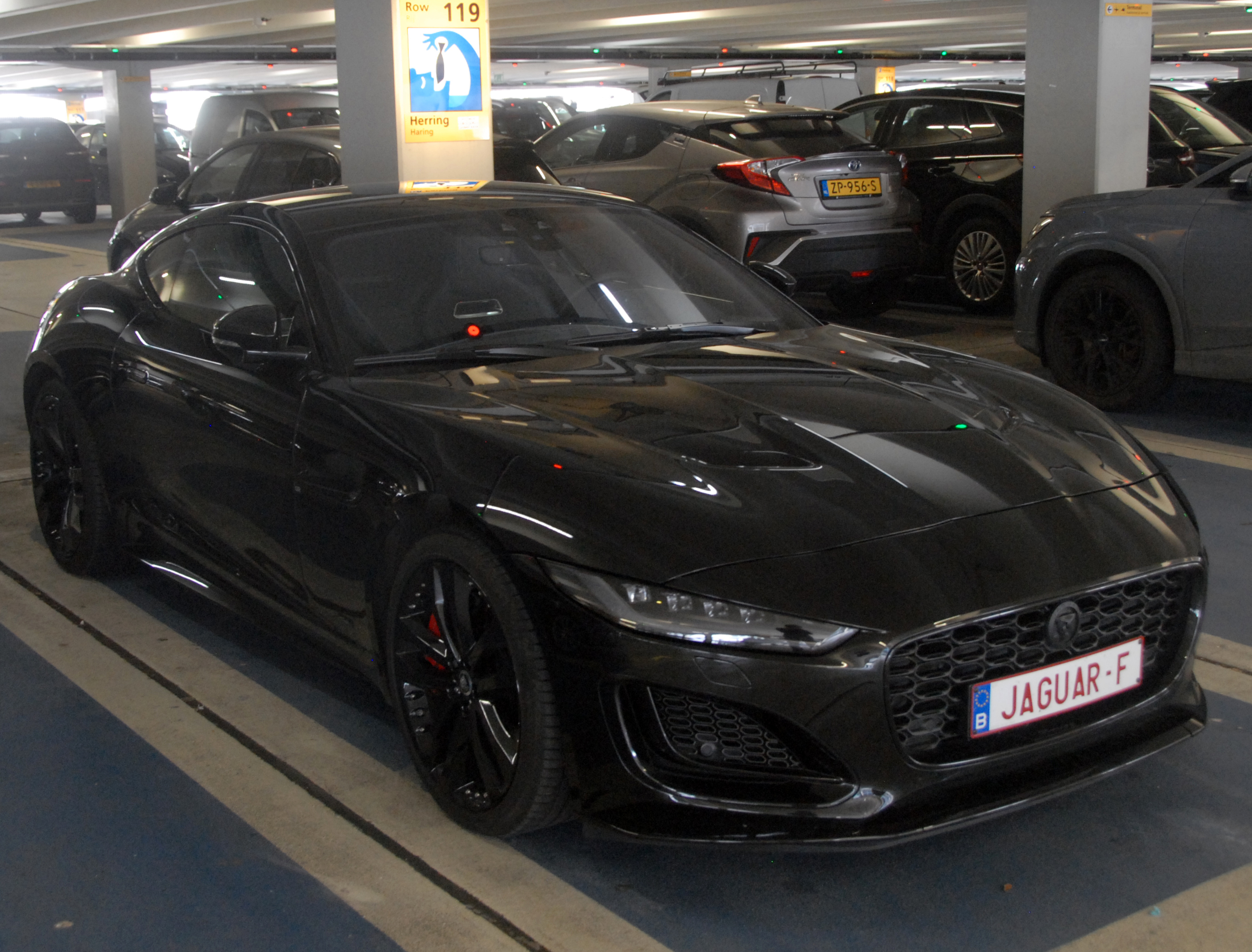 JAGUAR-F
